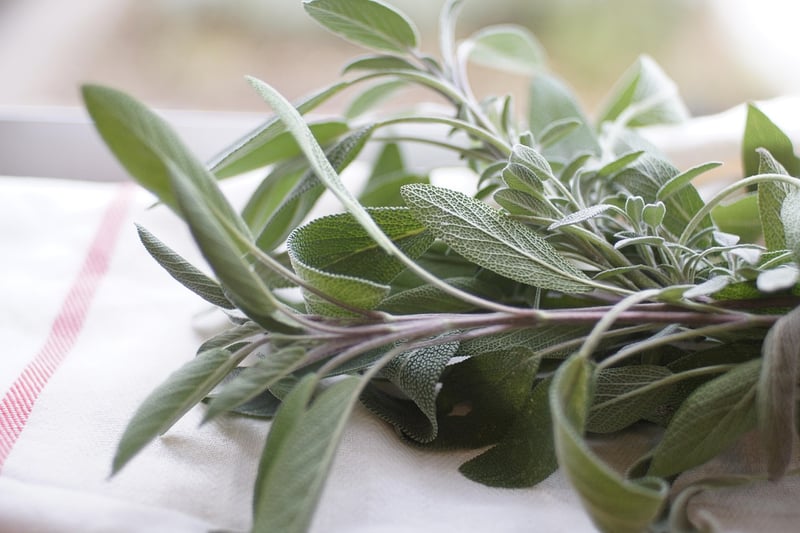 Vertical Herb Garden